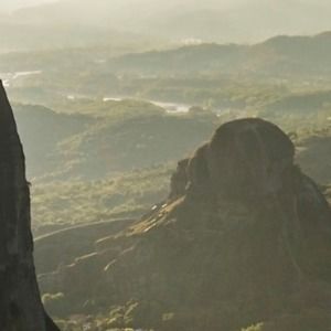 Meet your Posher, Gracie